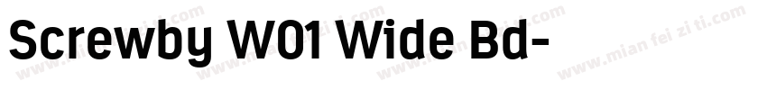 Screwby W01 Wide Bd字体转换